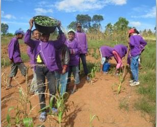 Avril 2019 : Au Jardin potager
