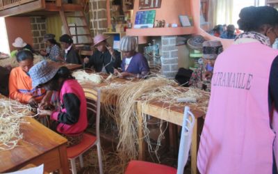 Juillet 2019 : Des projets économiques qui avancent