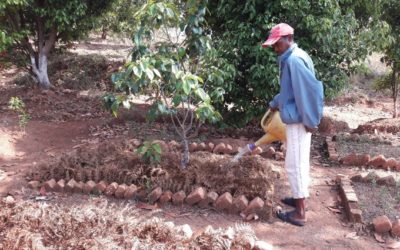 Juin 2020 : Les travaux agricoles se poursuivent