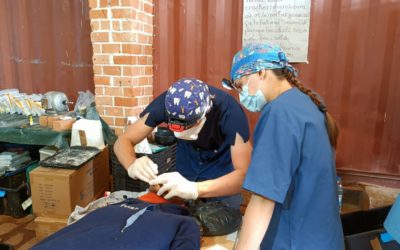 Février 2026 : Mission de l’Oued dentaire