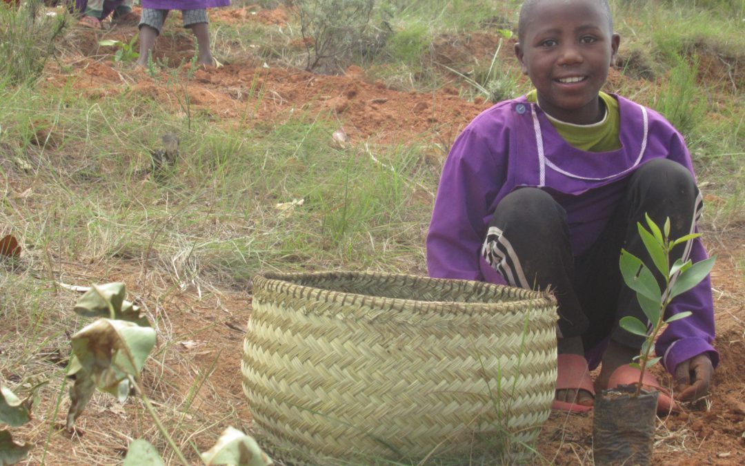 Mars 2026 : Journée des écoles